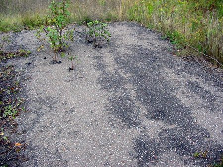 B & D Drive-In Theatre - Foundation (newer photo)